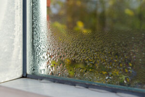 Maintaining the Best Humidity Level in a Montana Winter. Condensation from humidity on the inside of a window.